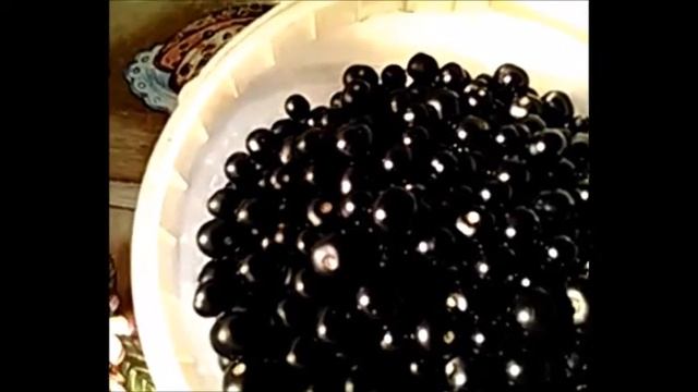 Рецепт № 2.Приготовление варенья из паслёна! смотреть онлайн