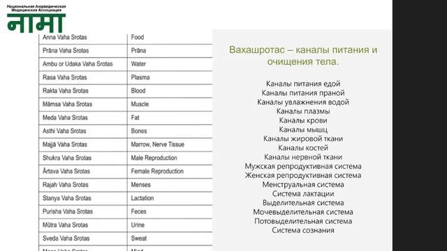 Открытый вебинар Светланы Твардовской 