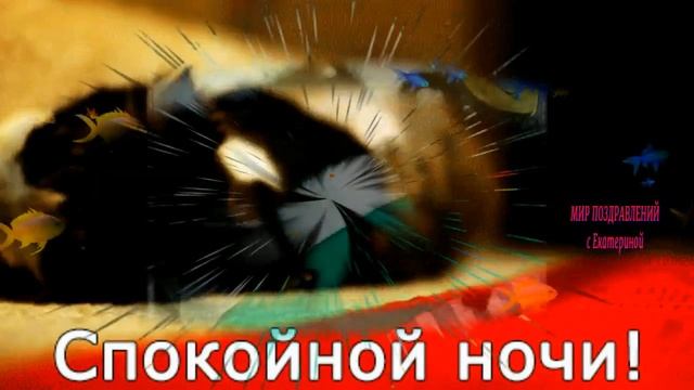 Спокойной ночи!Доброй Ночи! Сладких Снов! Очень Красивое Пожелание Спокойной Ночи!МИР ПОЗДРАВЛЕНИЙ смотреть онлайн