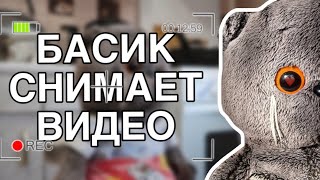 Вечер глазами кота БАСИКА смотреть онлайн