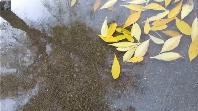 16:37 Группа " Високосный год" смотреть онлайн