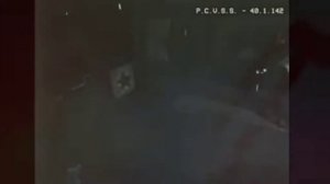 Песня про букси бу. Игра прожек плэйтайм.  Pley project playtime.