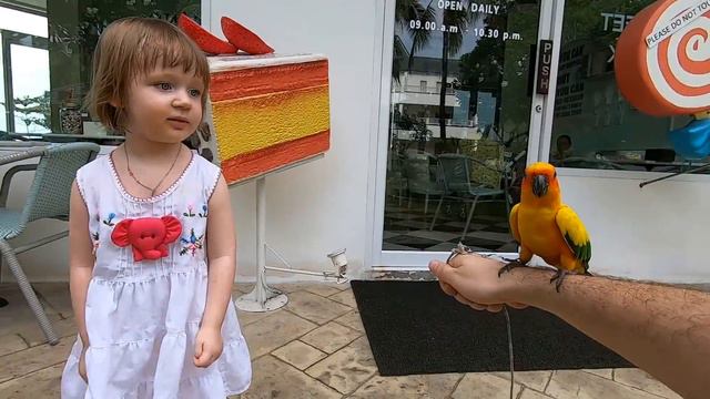 Vlog Прогулка в парке с живыми кроликами, попугаями и черепахой. Детский канал Алена смотреть онлайн