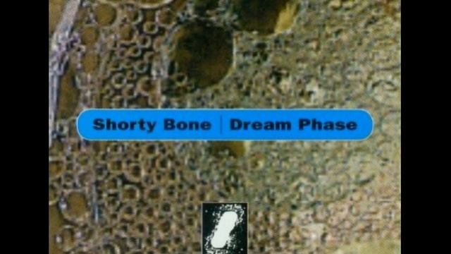 Happy Hardcore Hits 1994