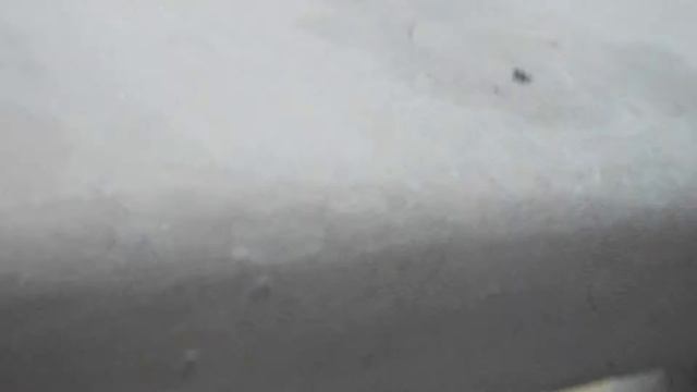 ГЕЛЕНДЖИК МОРЕ 2015 ГОД ПВН 8 смотреть онлайн