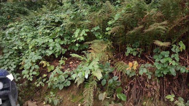 Toyota Hilux ? Mitsubishi L200?Ford Ranger ?OFF ROAD ?? TURKIYE BLACKSEA ?