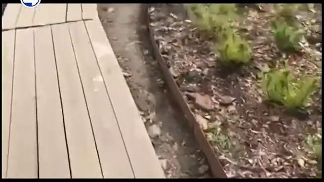 Клумба в центре города - реакция властей смотреть онлайн