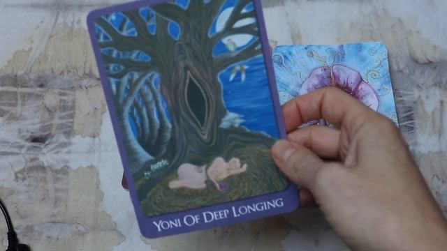 Yoni Oracle Cards by Georgina Catling #tarotmap #yonioracle смотреть онлайн