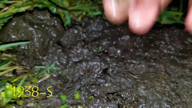 Another silver first with whites MX Sport! Relics + more found while metal detecting old farm in WA смотреть онлайн