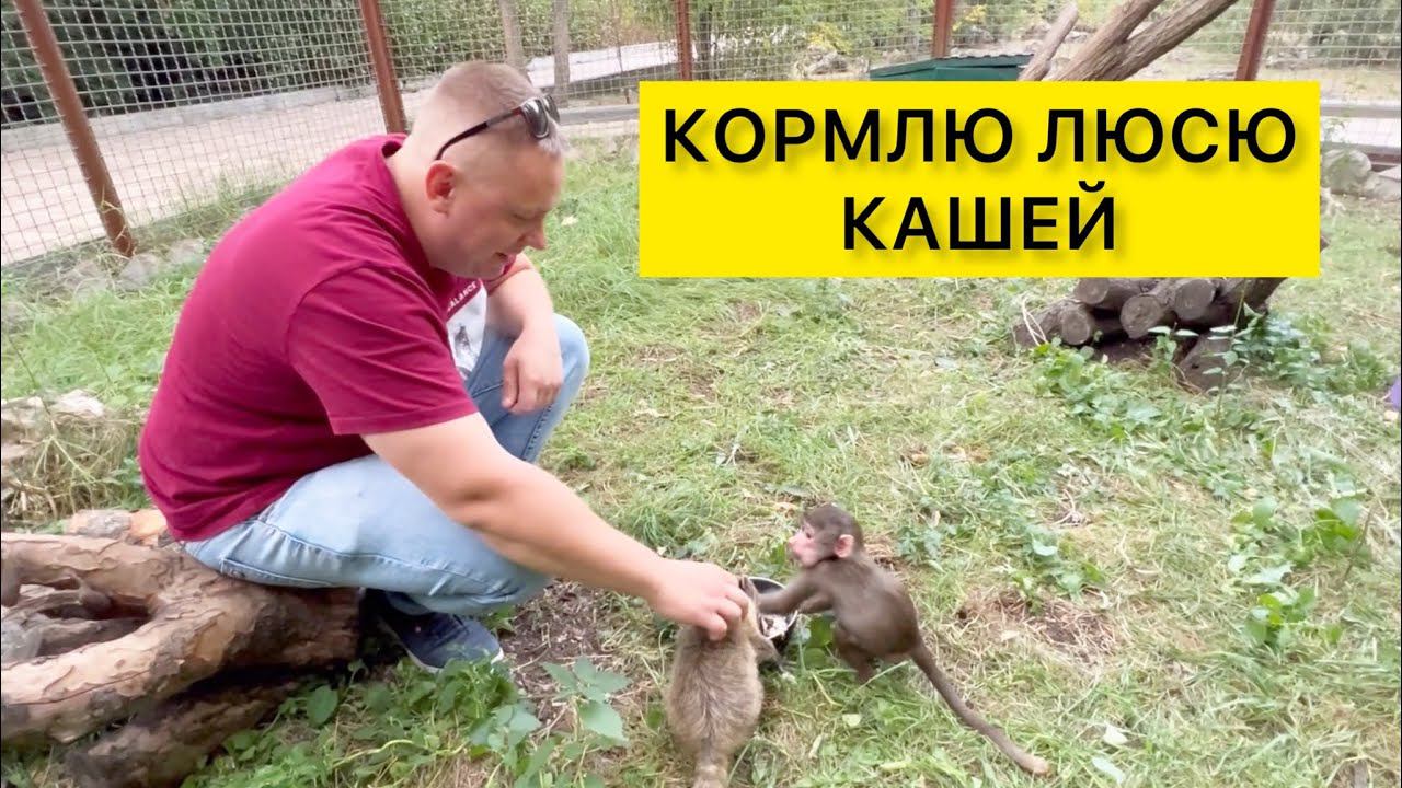 КОРМИМ ЛЮСЬКУ КАШЕЙ, И ТУТ НАЧАЛОСЬ… смотреть онлайн