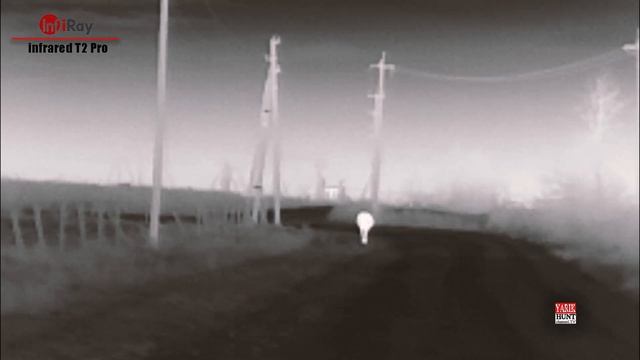 ?Самый Маленький Тепловизор для охоты InfiRay Xinfrared T2 Pro✅для телефона (IOS & Android) смотреть онлайн