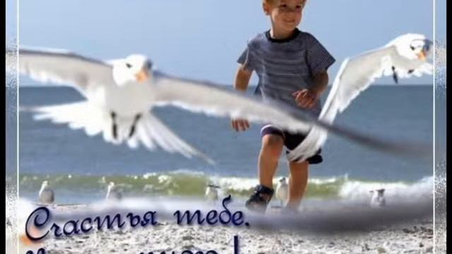 каритас-киев.avi смотреть онлайн