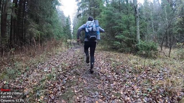 ОБЗОР GoPro 7 BLACK - МЕСЯЦ ИСПОЛЬЗОВАНИЯ В ПОХОДАХ. Так ли хороша стабилизация?