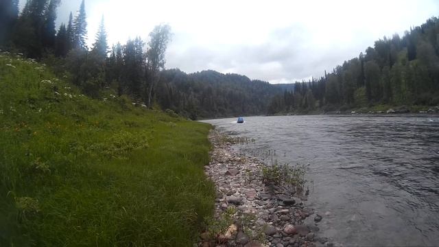 Приятно работает моторчик!