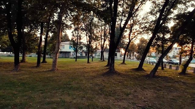 Парк. Сухум...