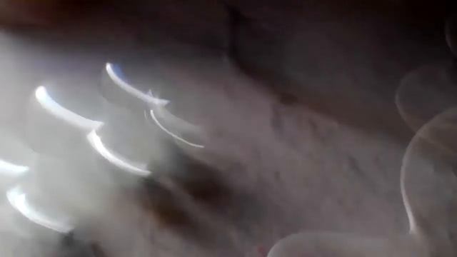 тест удочки 1300 ватт