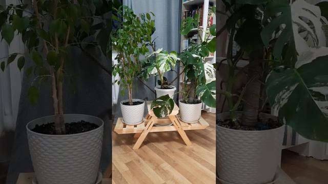 /Подставка для цветов с WILDBERRIES/Супер/ смотреть онлайн
