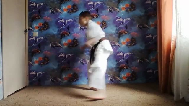 Обучающее видео ката шотокан карате для начинающих и продвинутых каратистов смотреть онлайн