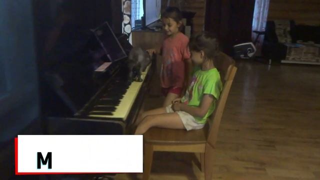 VLOG: КУКУРУЗА В ЗИМУ МУЗА РАДЫ! смотреть онлайн