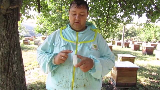 Повторная обработка муравьиной кислотой. Ч.-2 смотреть онлайн