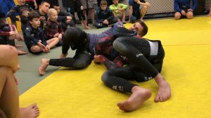 Анаконда. Удушающий приём ( Лев Гладких )