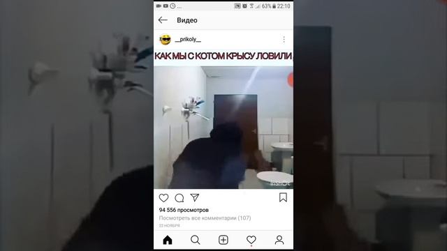 Как мы с котом ловили мышь смехх смотреть онлайн
