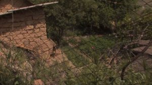 Кыргызстан, Майли-Сай 2008 год.