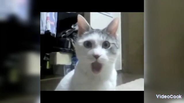 что если на тебя смеются твои друзья что делать если обосрались