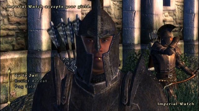 [Vinesauce] Joel - The Elder Scrolls IV: Oblivion ( Part 11 ) смотреть онлайн