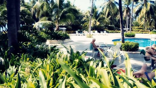 Palm Beach Resort & Spa 4* Sanya (China, Hainan) смотреть онлайн