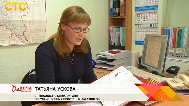 Второе издание Красной книги Кировской области смотреть онлайн