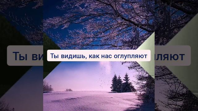 Наблюдение