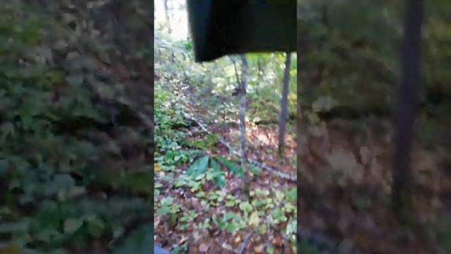 УАЗ 69, заблудились в тайге. Бездорожье. смотреть онлайн