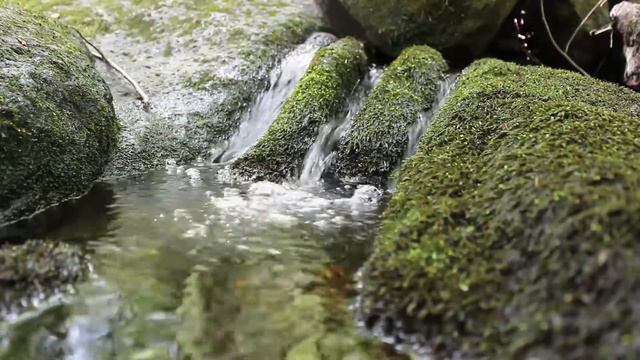 528 pure tone combined with Nam Myoho Renge Kyo very powerful Daimoku and Gongyo смотреть онлайн