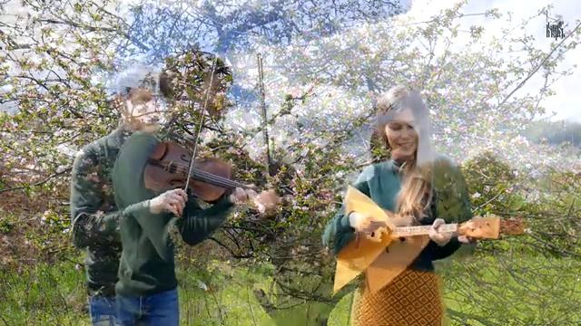 КОЛЕНКОРЪ | ВИШНЯ | LIVE смотреть онлайн