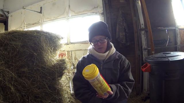 Packing the goat kidding box (and little rays of new life) | Chickadee Market смотреть онлайн