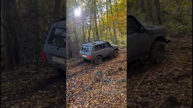 Покатушки НИВА NIVA 2121 сборник общее OFFroad Сочи, Адлер смотреть онлайн