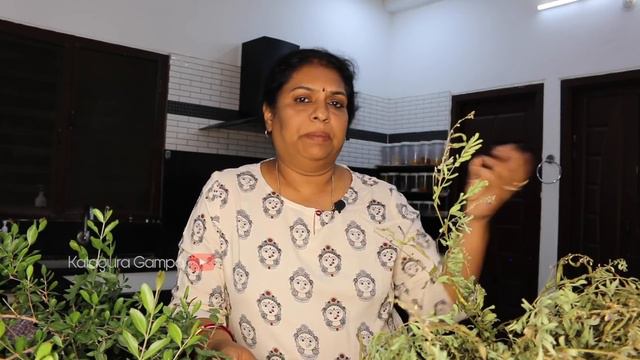 Simple Beauty Secrets -World's Best 100% Natural Hair Dye / Indigo + Henna= Black Hair смотреть онлайн