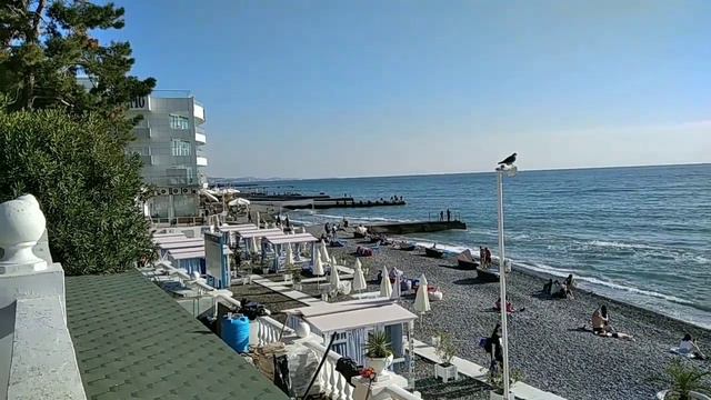 Сочи, декабрь, 🌊мореl Гуляем по набережной в районе пляжа Цирк и наслаждаемся хорошим солнечным днё смотреть онлайн