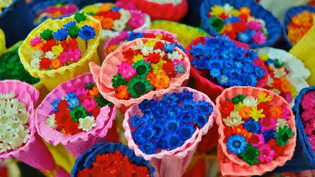 Vector Five Мир позитива смотреть онлайн