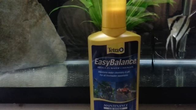 Easy Balance Review Thank You To Tetra смотреть онлайн