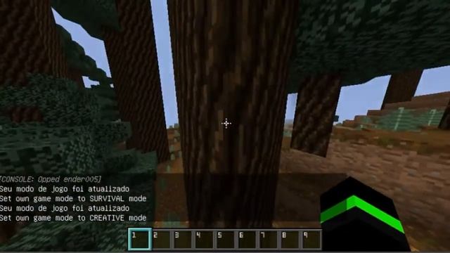 Minecraft-Tutorial: Plugin De Tags SyncTag смотреть онлайн