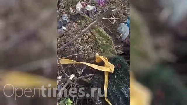 В Орле «ЭкоСити» не принял на сортировку 30 кубов мусора с кладбища в Лужках смотреть онлайн