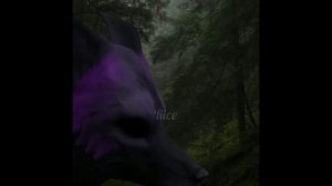 WildCraft | TikTok compilation 🩷