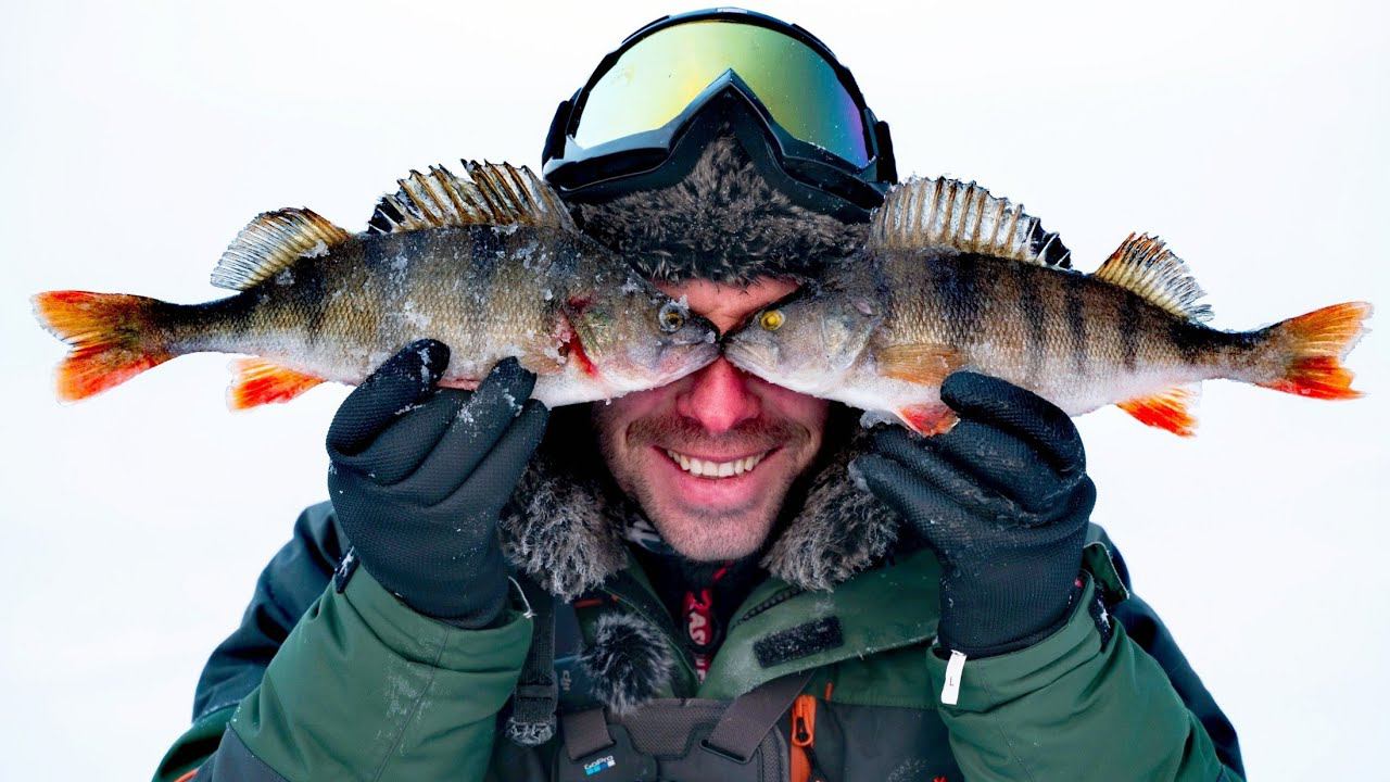 ОКУНЬ. ЭХОЛОТ-открыл мне ДРУГОЙ МИР! Ловля ГОРБАЧЕЙ на Самодельные Блесны смотреть онлайн
