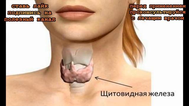 ★ Рецепт компресса из красного лука для щитовидной железы. Помести кашицу из лука к горлу на 2 часа смотреть онлайн