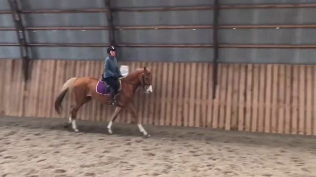 Конный клуб Сивка смотреть онлайн