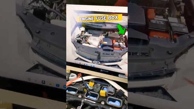 TOYOTA CAMRY 2015 -16-17❓ Radiator Fan Fuse #fuse #toyota #toyotacamry #camry #shorts #where #fix смотреть онлайн