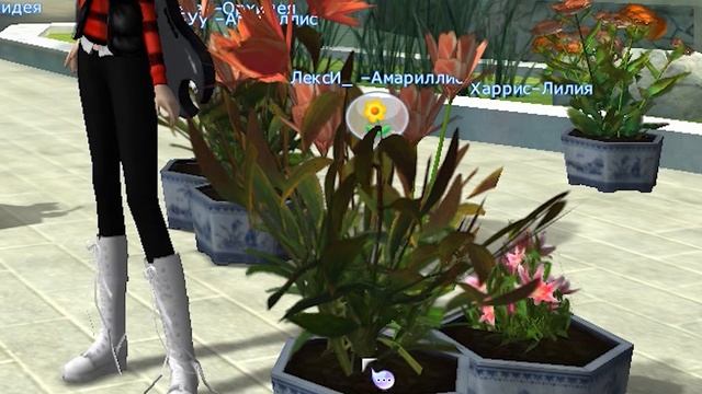 Как БЫСТРО накопить ДНС?! Ответ ЕСТЬ! смотреть онлайн