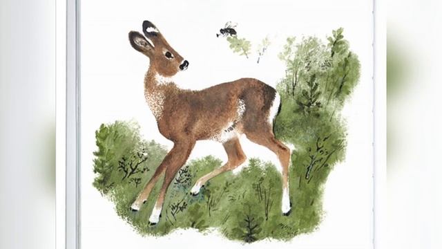 Сказка Хвосты ➠ Виталий Бианки смотреть онлайн